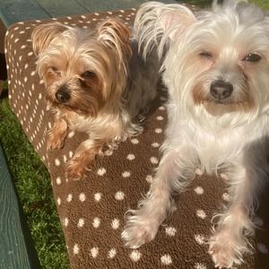 Meet your Posher, Donita